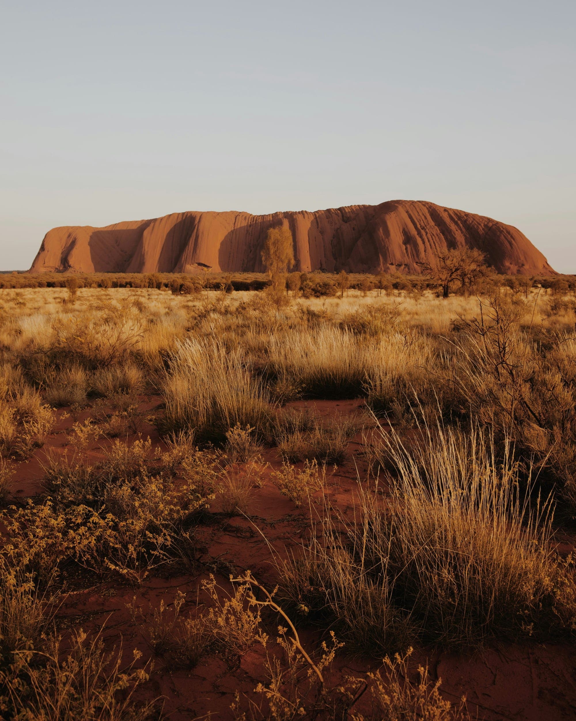 A large red rock rising above dry desert grassland
