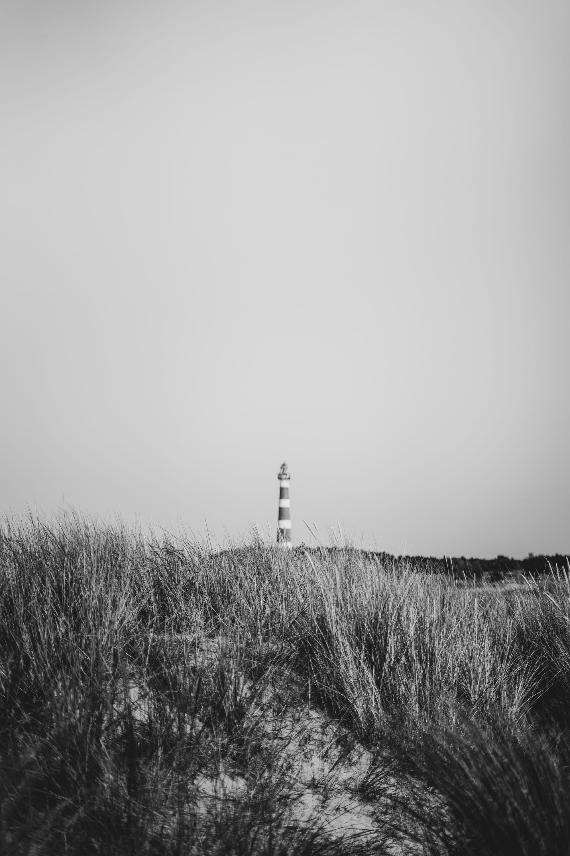 Black and white dune grass with a striped lighthouse in the distance