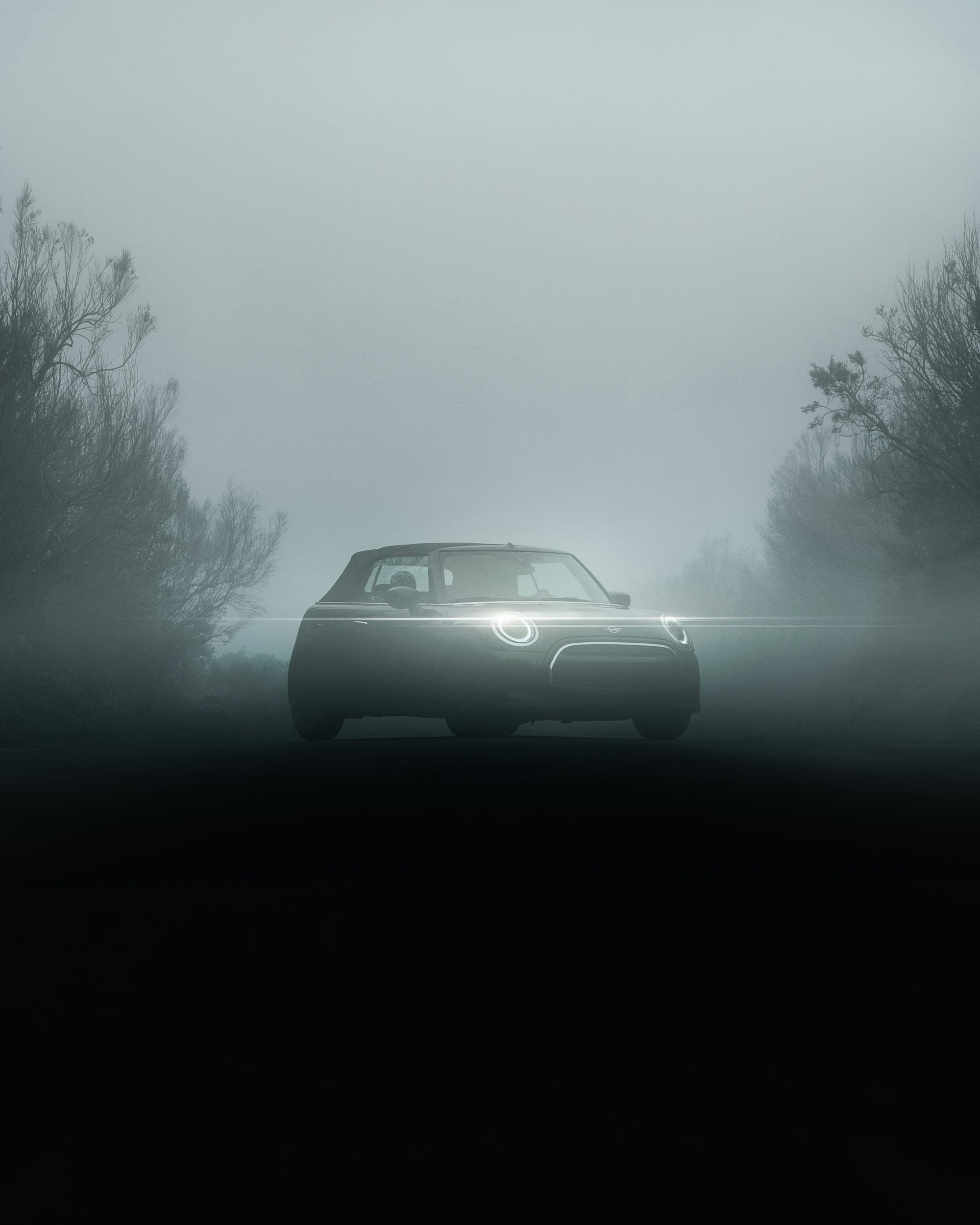 A car with headlights on emerging from thick fog between trees